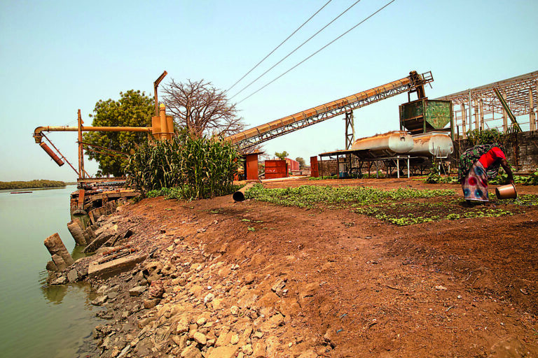 “High Risk, No Structure”: Gambia’s Groundnut Trade Faces Persistent Challenges, NFSPMC Warns