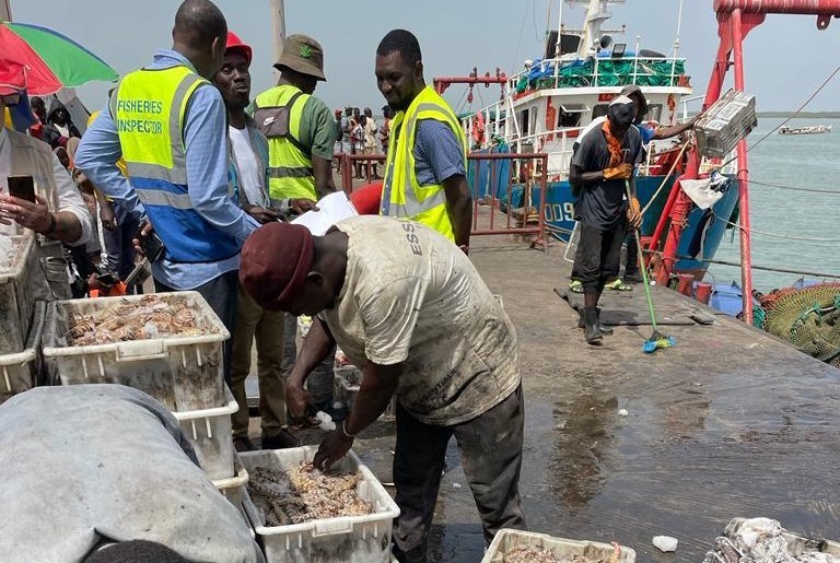Gambia Fisheries Inspection