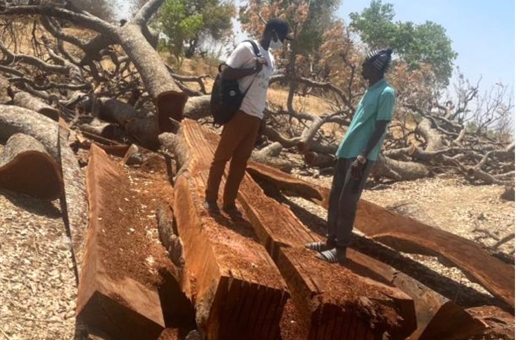 Njau village