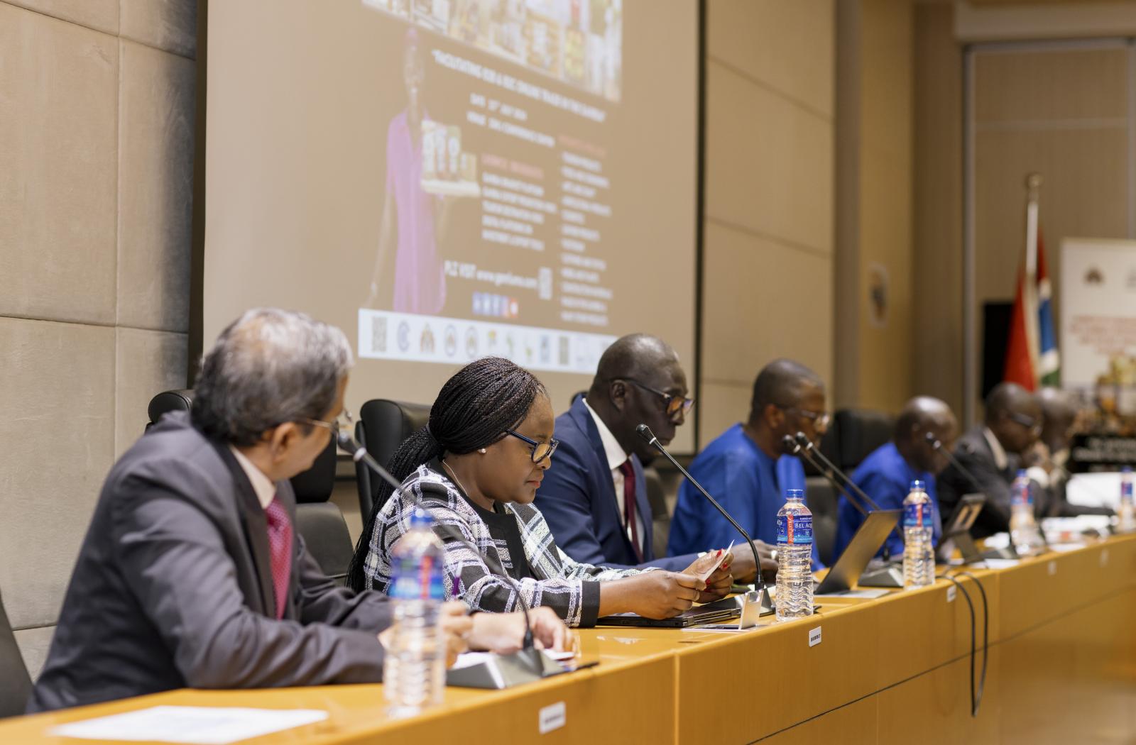 Gambia Digital Platform