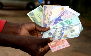 ECOWAS Sets 2027 ECO Single Currency Launch as 2025 Mid-Year Meetings Begin