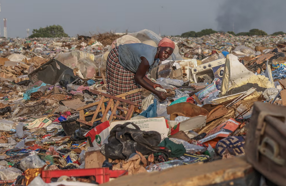 Plastic Picker