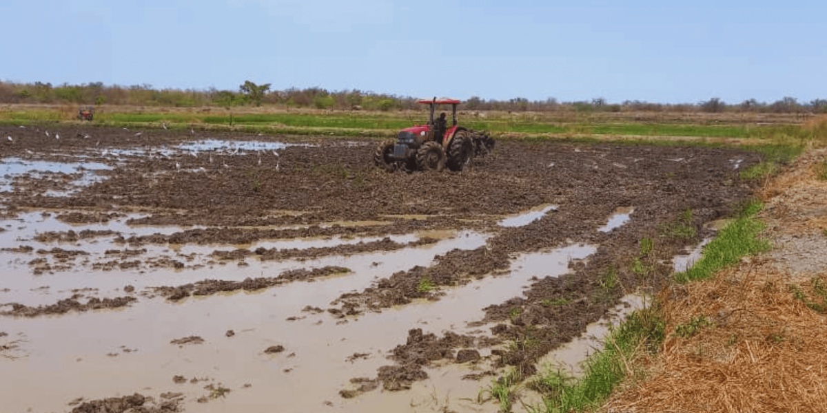 soil fertility