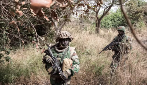 Senegalese Soldier Freed After Seven Months in Captivity in Casamance