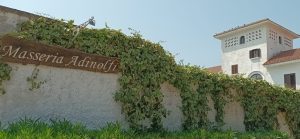 Gambian Teenager Fatally Stabbed in Italian Restaurant Kitchen: Murder Suspect Remanded in Custody