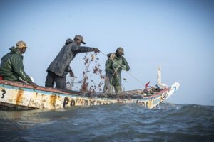 Sea War in Gambia: Local Fishermen Turn on Each Other Amid Foreign Trawler Invasion