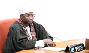 Seedy SK Njie Sidesteps Jammeh Loyalty Questions, Denies NPP-UDP Similarity