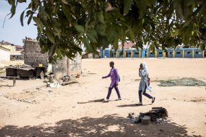 The Gambia Joins Global Push for UN Treaty on Free Education