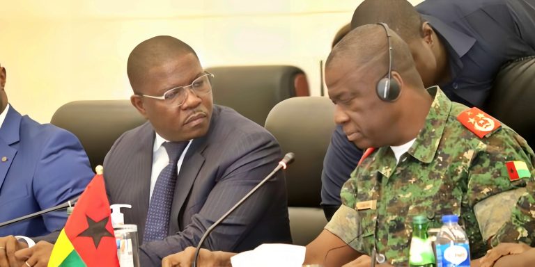 The Guinea Bissau National Transitional Council (CNT)