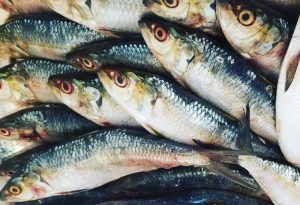 Red Alert on Senegambian “Yaboye” Gambia and Three Countries Strike Deal for Food Security